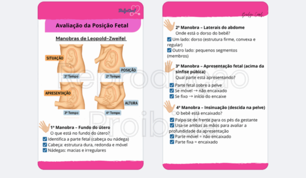 Rotinas Obstétricas- Manobra de Leopold